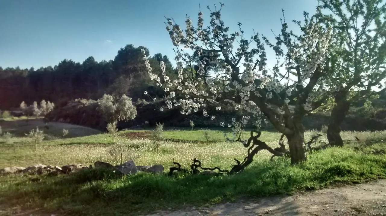 Casa Rumbet Horta de Sant Joan Spain